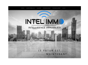 Intelimmo